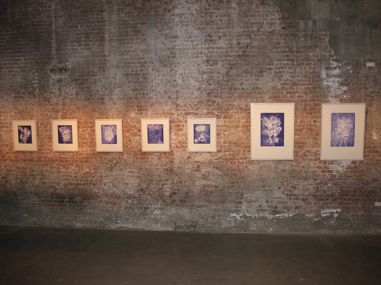 <strong>Brainscapes</strong>, Susan Aldworth, 2006, etching and aquatint prints, 30 x 25 cms and 50 x 35 cms. Installation at Scheltema Contemporary Gallery, Leiden, 2010.
