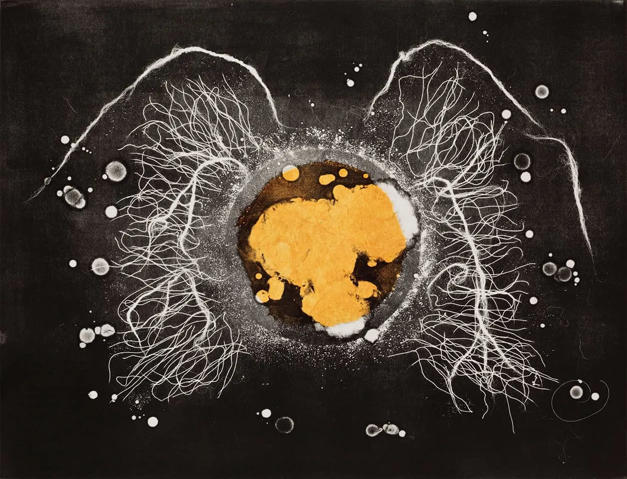 <strong>Heartwork 10</strong>, Susan Aldworth, monoprint, 56 x 76 cms, 2010. Photograph by Peter Abrahams.