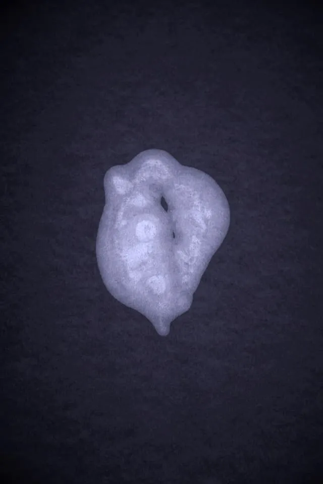 <strong>Passing Thoughts 15</strong>, Susan Aldworth, archival digital print, 35 x 23 cms, 2013.