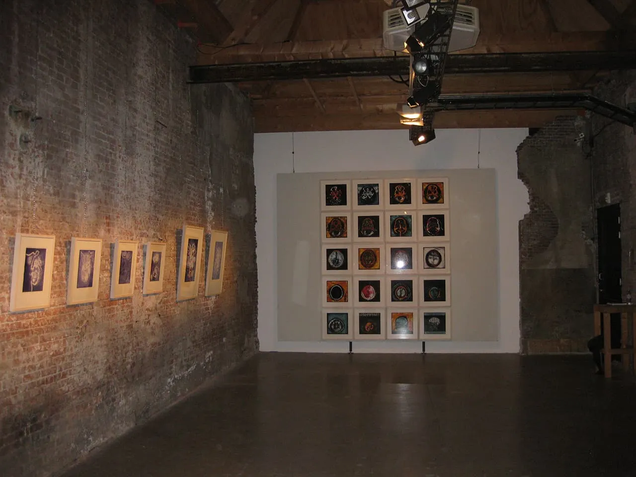 <strong>Cogito Ergo Sum 3</strong>, Susan Aldworth, 20 archival digital prints, 35 x 35 cms each, 2006. Installation at Scheltema Contemporary Gallery, Leiden, 2010.