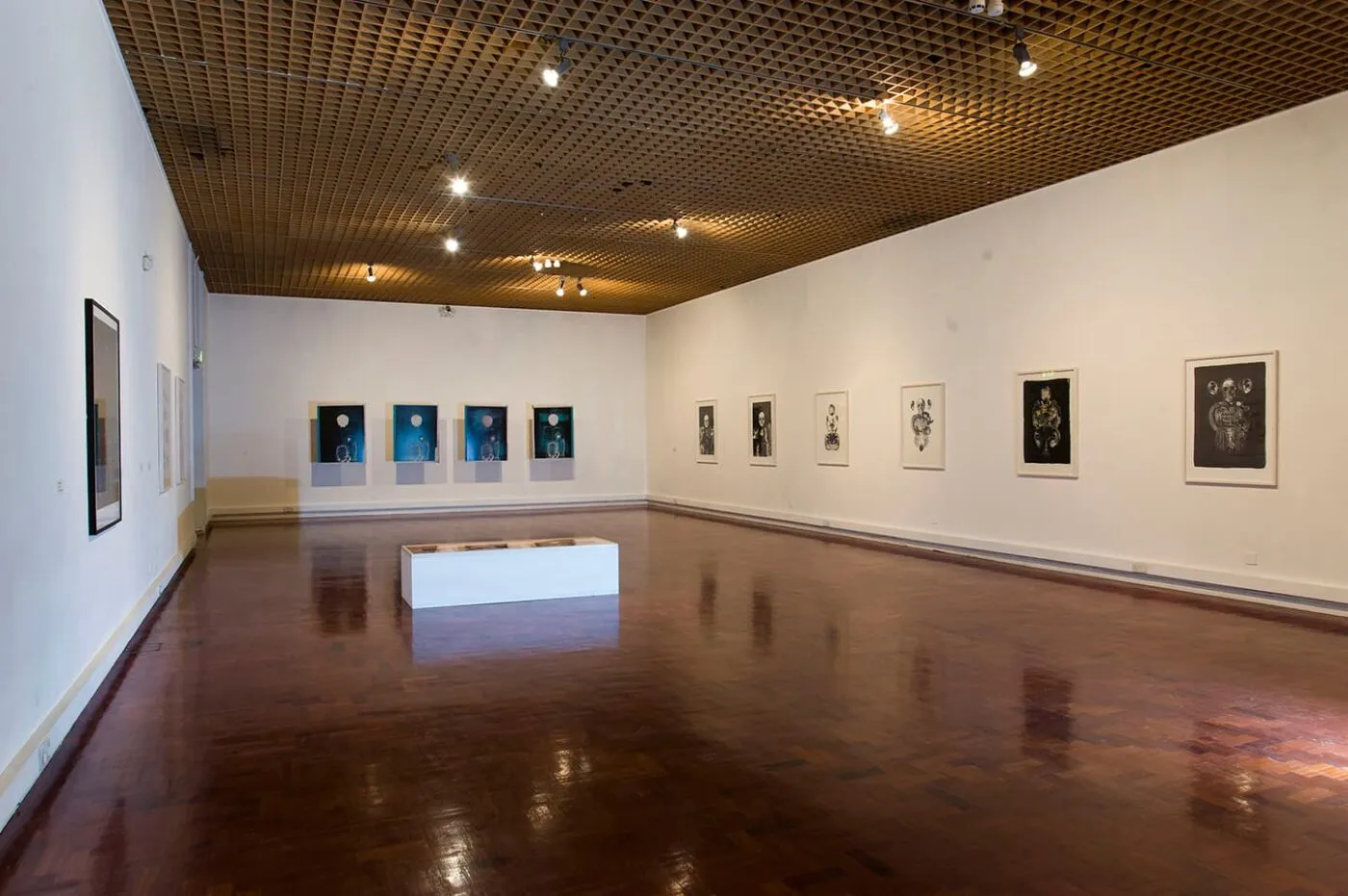 <strong>Reassembling the Self</strong>, installation of lithographs by Susan Aldworth, Hatton Gallery, Newcastle, 2012. Photograph by Gavin Duthie.