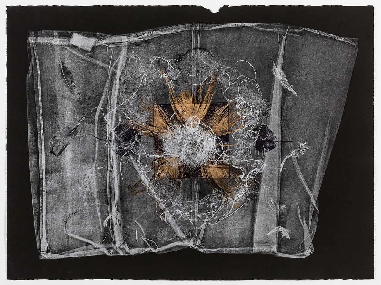 <strong>The Dark Self 3</strong>, Susan Aldworth, monoprint, 56 x 76 cms, 2017. Photograph by Peter Abrahams.