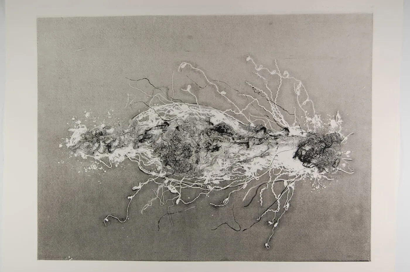 <strong>Out of Body 2.2</strong>, Susan Aldworth, monoprint, 56 x 76 cms, 2009.