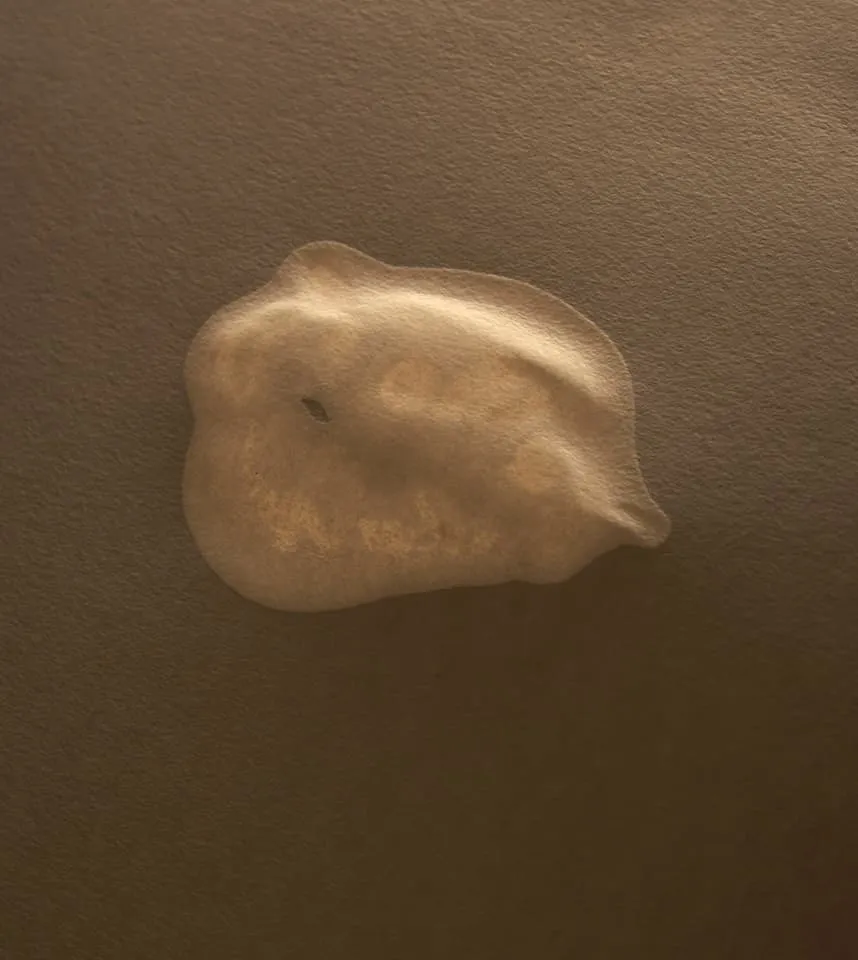 <strong>Passing Thoughts 3</strong>, Susan Aldworth, archival digital print, 30 x 27 cms, 2013.