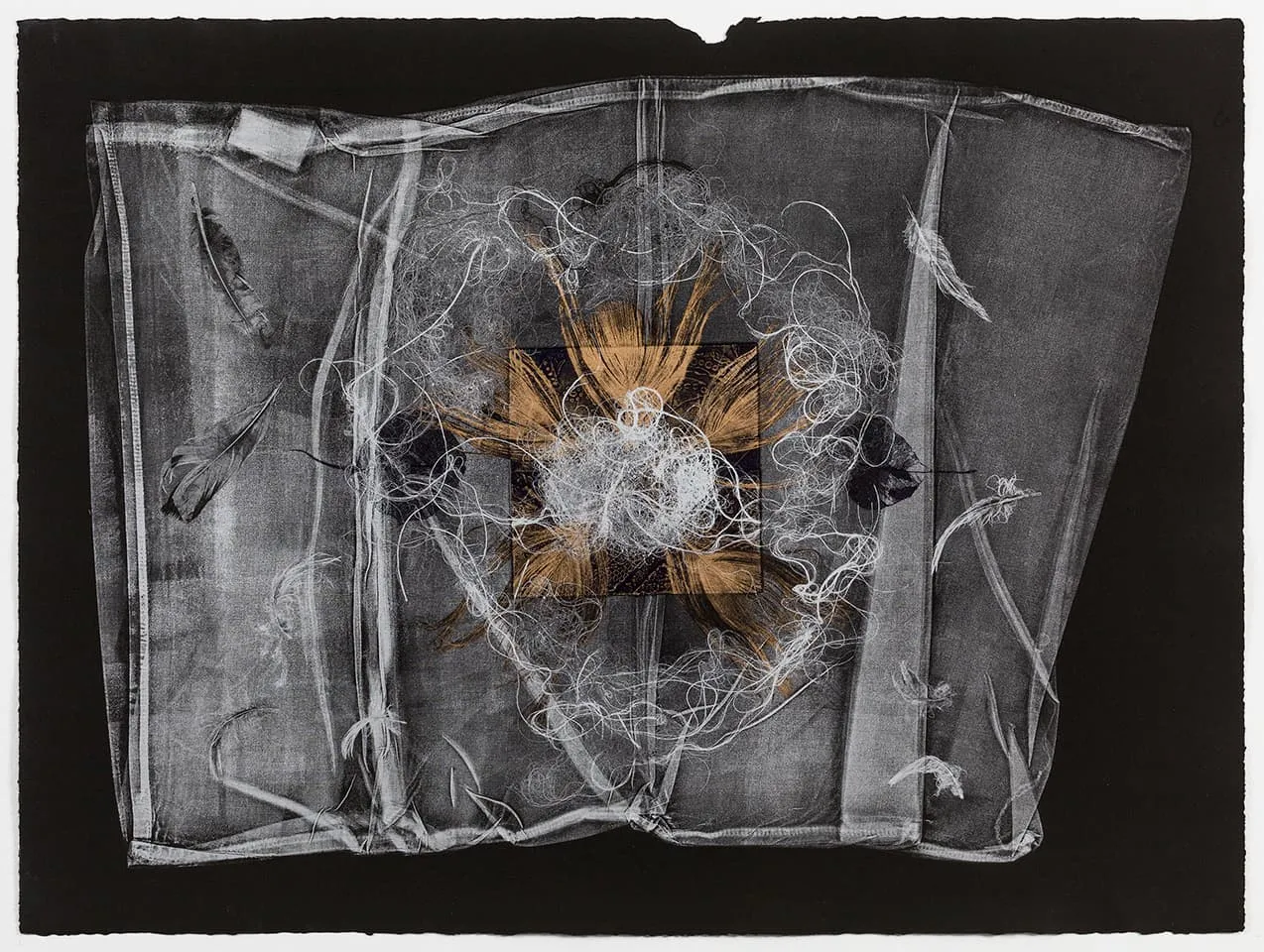 <strong>The Dark Self 3</strong>, Susan Aldworth, monoprint, 56 x 76 cms, one of a series 18 prints, 2017. Photograph by Peter Abrahams.