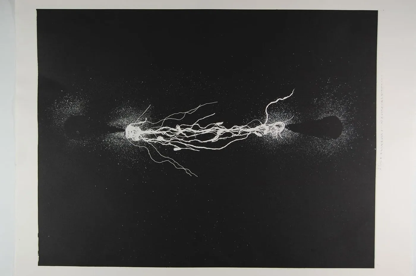 <strong>Out of Body 1.1</strong>, Susan Aldworth, monoprint, 56 x 76 cms, 2009.