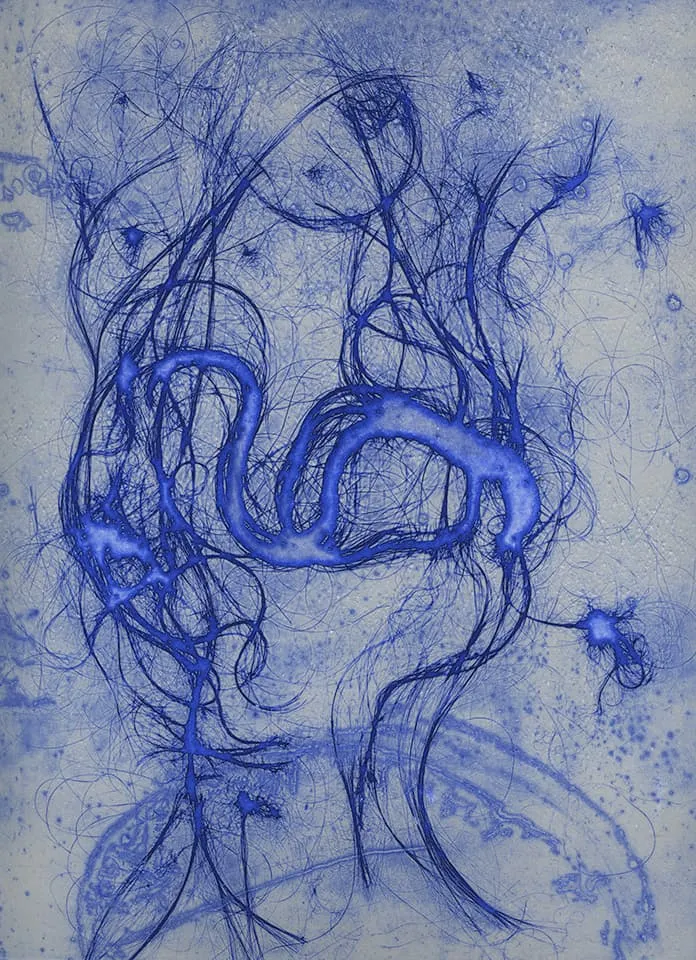 <strong>The Entangled Self 1</strong>, Susan Aldworth, etching, 31 x 24 cms, 2014.