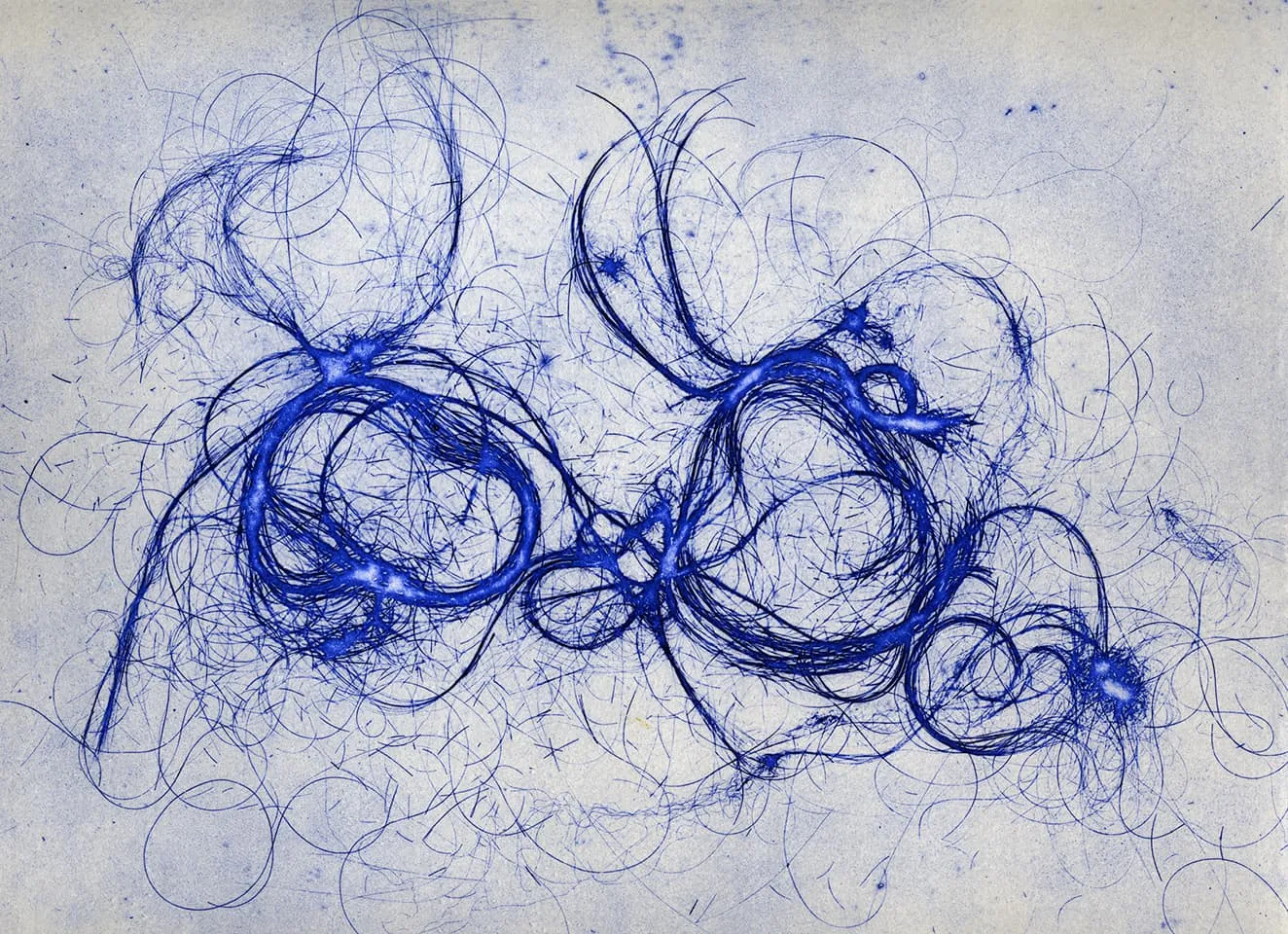 <strong>The Entangled Self 6</strong>, Susan Aldworth, etching, 25 x 31 cms, 2014.