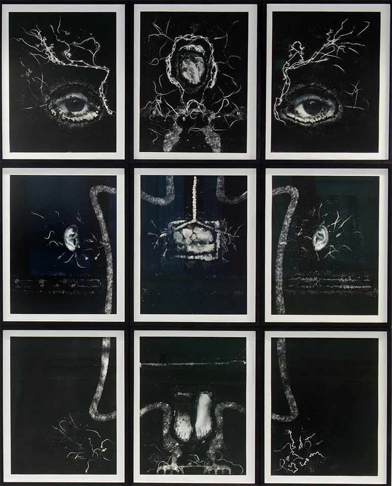 <strong>Fiona</strong>, installation of 9 monotypes with chine-collé, 2.5 x 2m, Susan Aldworth, 2012. Photograph by Colin Davison.