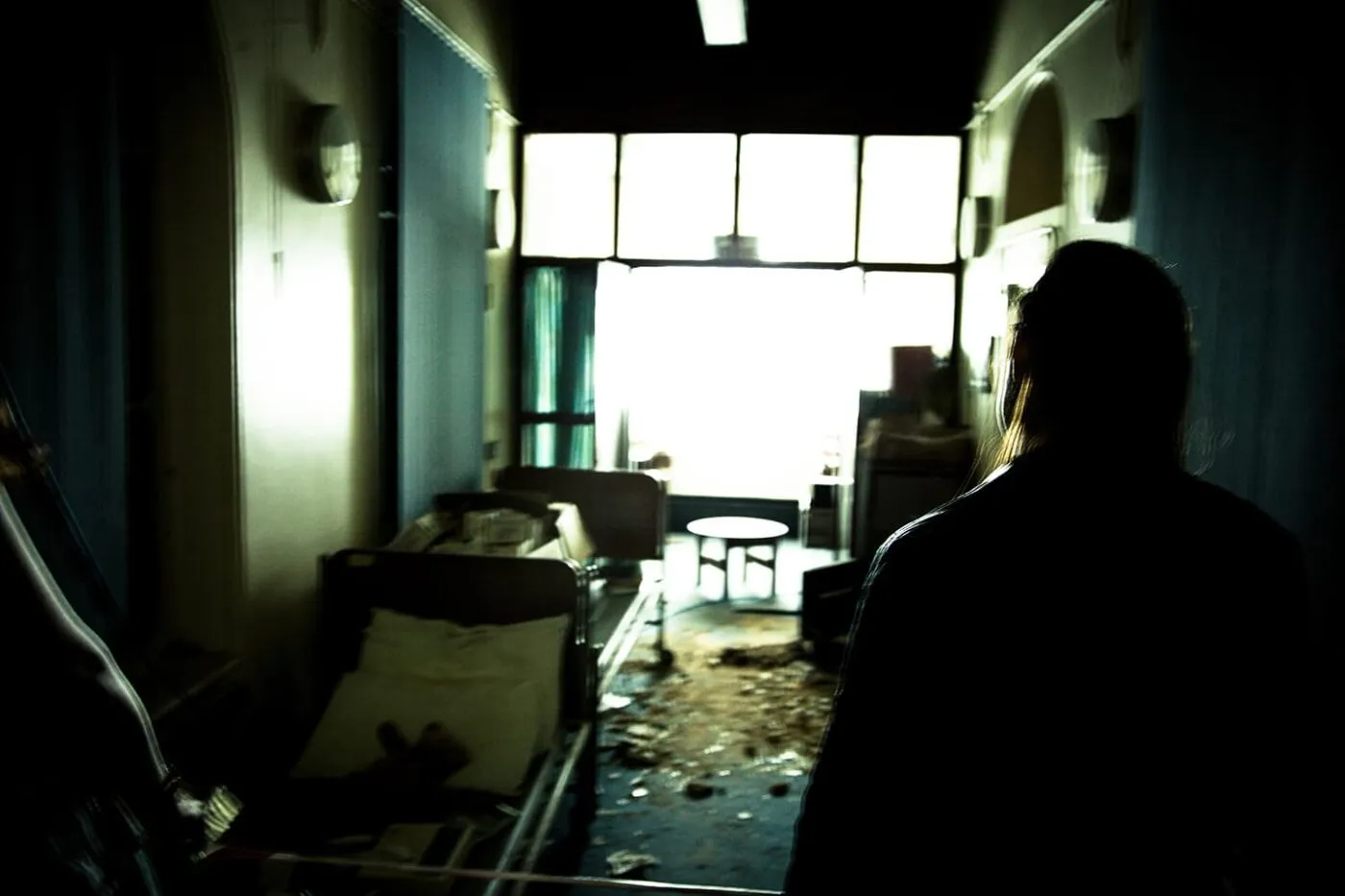 <strong>Going Native</strong>, video installation by Susan Aldworth at St Clement’s Hospital, 2013. Photograph by Emma Crouch.