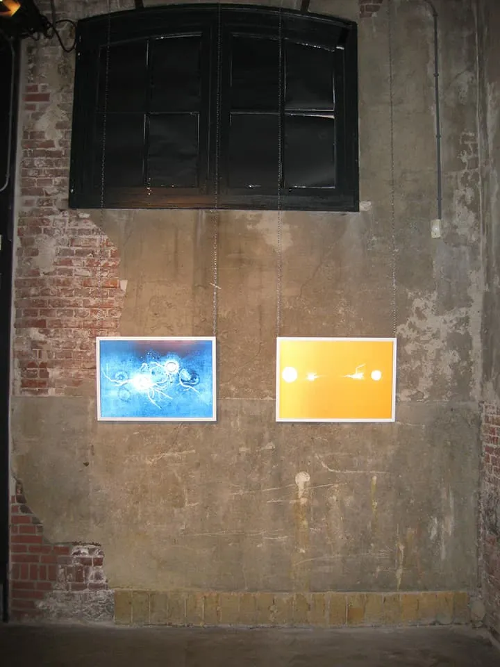 <strong>Transition 3 & 4</strong>, Susan Aldworth, lenticular prints, 65 x 45 cms each. Installation at Scheltema Contemporary Gallery, Leiden, 2010.