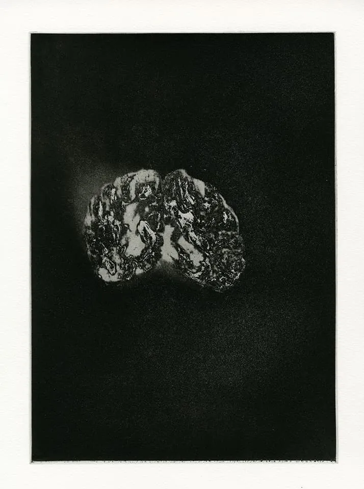 <strong>Transience 6</strong>, Susan Aldworth, etching and aquatint,  35 x 25 cms, 2013.