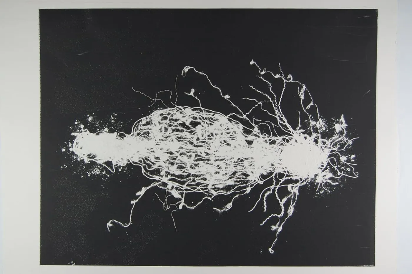 <strong>Out of Body 2.1</strong>, Susan Aldworth, monoprint, 56 x 76 cms, 2009.