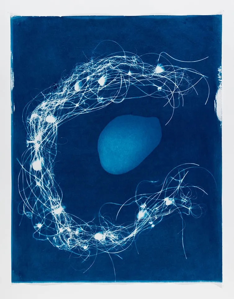 <strong>Out of the Blue 6</strong>, Susan Aldworth, cyanotype, 59 x 47 cms, 2019. Photograph by Peter Abrahams.