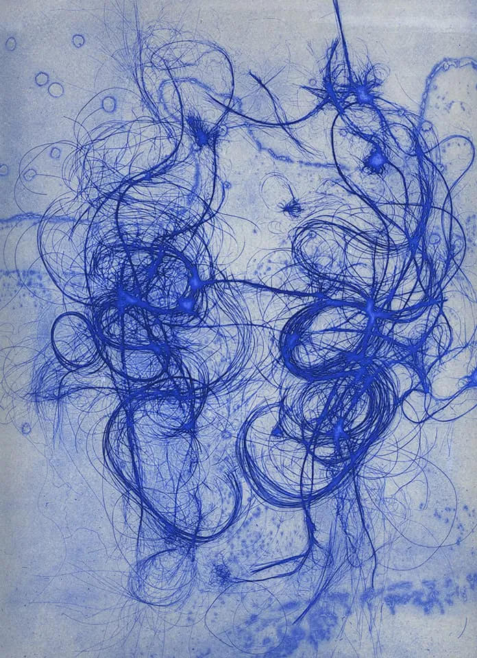 <strong>The Entangled Self 2</strong>, Susan Aldworth, etching, 31 x 25 cms, 2014.
