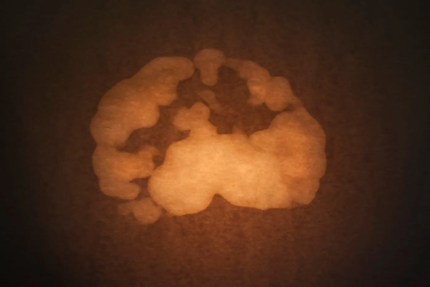<strong>Passing Thoughts 9</strong>, Susan Aldworth, archival digital print, 23 x 35 cms, 2013.