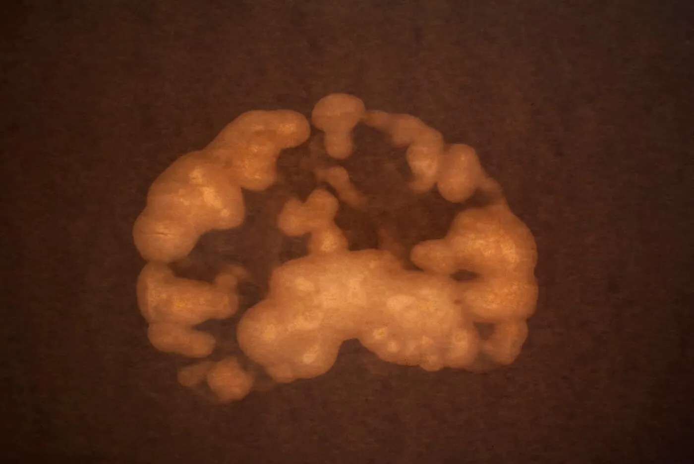<strong>Passing Thoughts 8</strong>, Susan Aldworth, archival digital print, 23 x 35 cms, 2013.