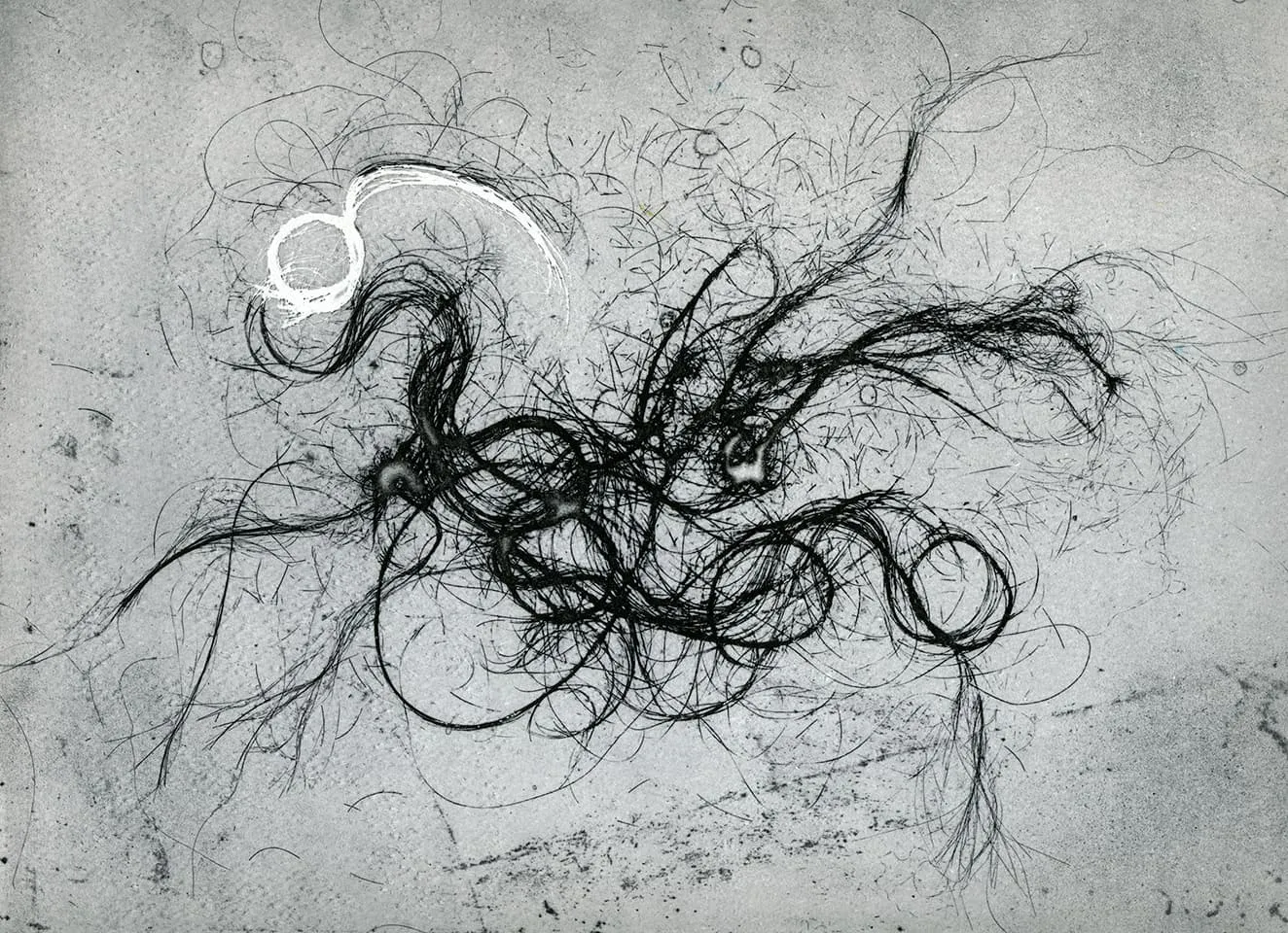 <strong>The Entangled Self 7</strong>, Susan Aldworth, etching, 25 x 31 cms, 2014.