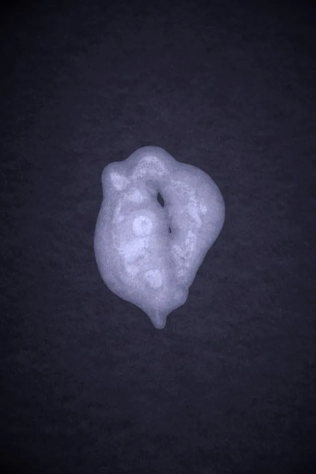 <strong>Passing Thoughts 15</strong>, Susan Aldworth, archival digital print, 35 x 23 cms, 2013.