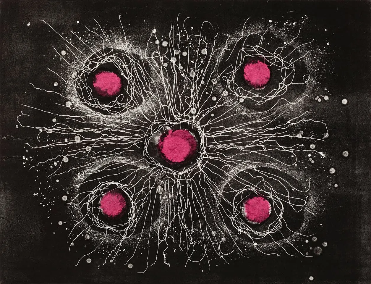 <strong>Heartwork 16</strong>, Susan Aldworth, monoprint, 76 x 56 cms, 2010. Photograph by Peter Abrahams.
