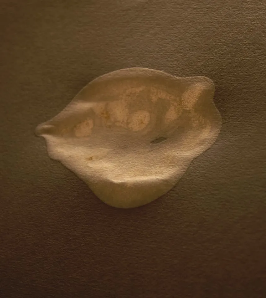 <strong>Passing Thoughts 4</strong>, Susan Aldworth, archival digital print, 30 x 27 cms, 2013.