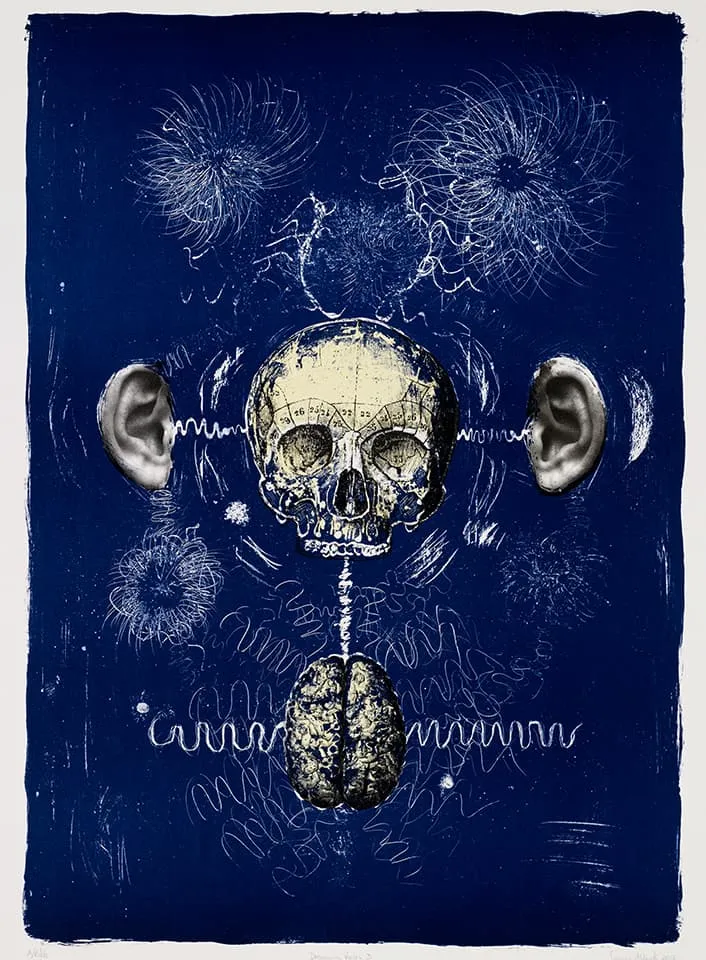 <strong>Dreaming Voices 3</strong>, Susan Aldworth, lithograph, 86 x 60 cms, 2012. Photograph&nbsp;by&nbsp;Anna&nbsp;Arca.