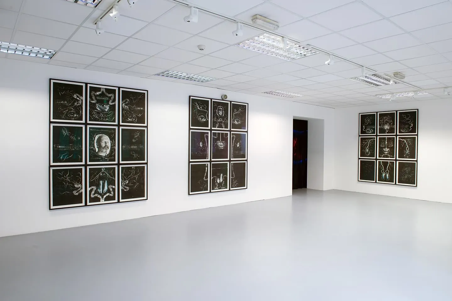 <strong>The Portrait Anatomised</strong>, Max (left), Fiona (centre) and Elisabeth (right), monotypes, Susan Aldworth, 2.5 x 2 metres each, 2013. Photograph by Colin Davison at Vane.
