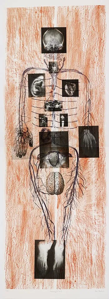 <strong>Reassembling the Self 7</strong>, Susan Aldworth, lithograph, 168 x 60 cms, 2012. Photograph&nbsp;by&nbsp;Anna&nbsp;Arca.