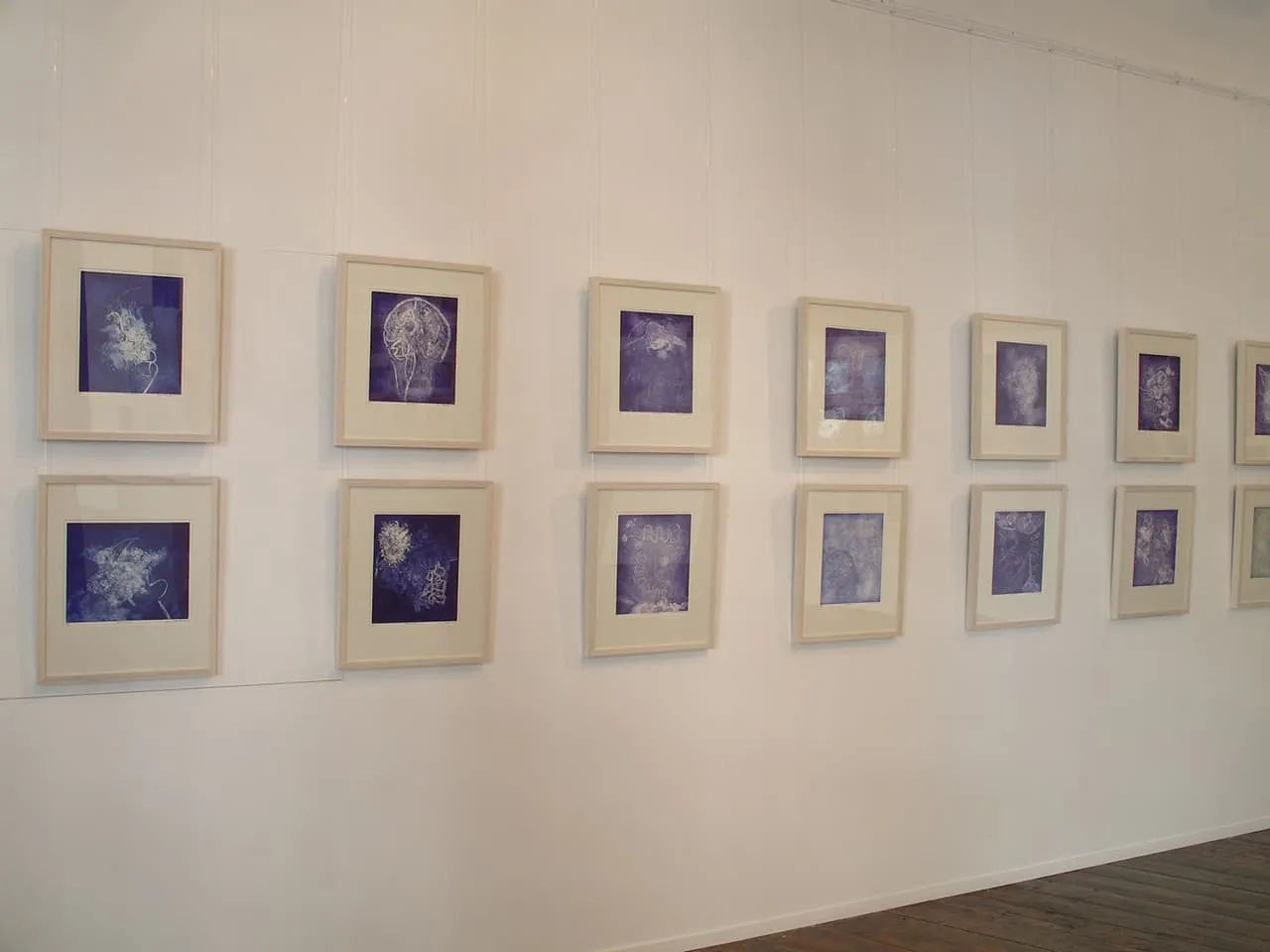 <strong>Brainscapes</strong>, installation of 30 etchings, Susan Aldworth, 2002. Photograph at Peninsula Arts by Jill Sheridan.
