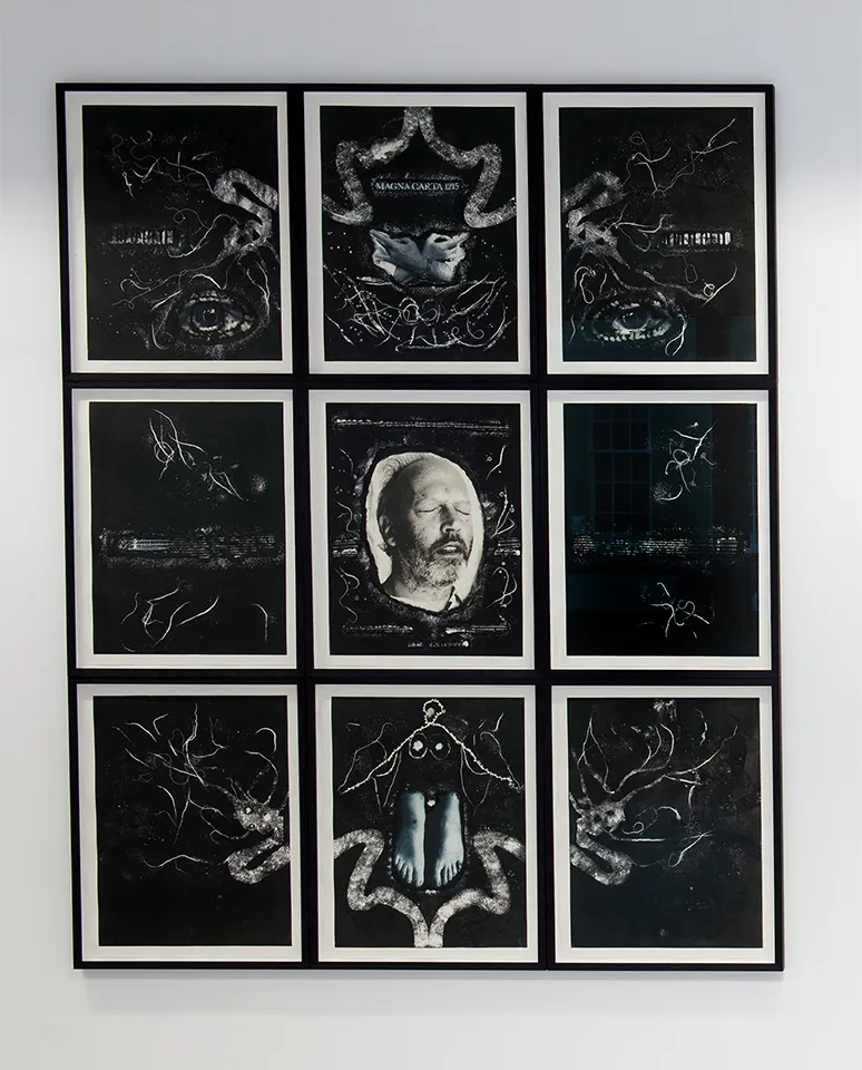 <strong>Max</strong>, installation of 9 monotypes with chine-collé, 2.5 x 2m, Susan Aldworth, 2012. Photograph by Colin Davison.