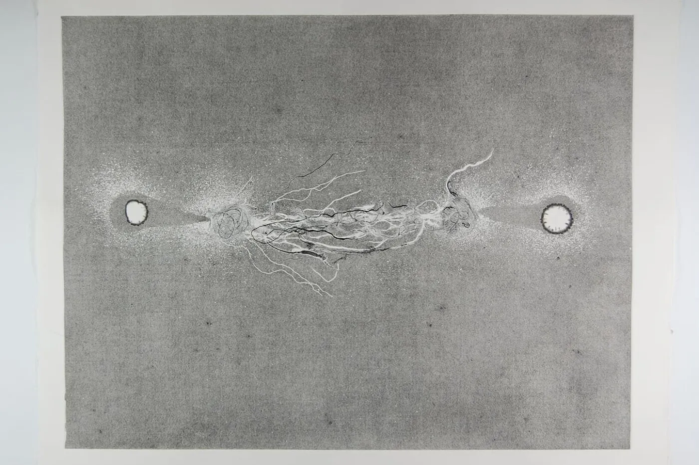 <strong>Out of Body 1.2</strong>, Susan Aldworth, monoprint, 56 x 76 cms, 2009.