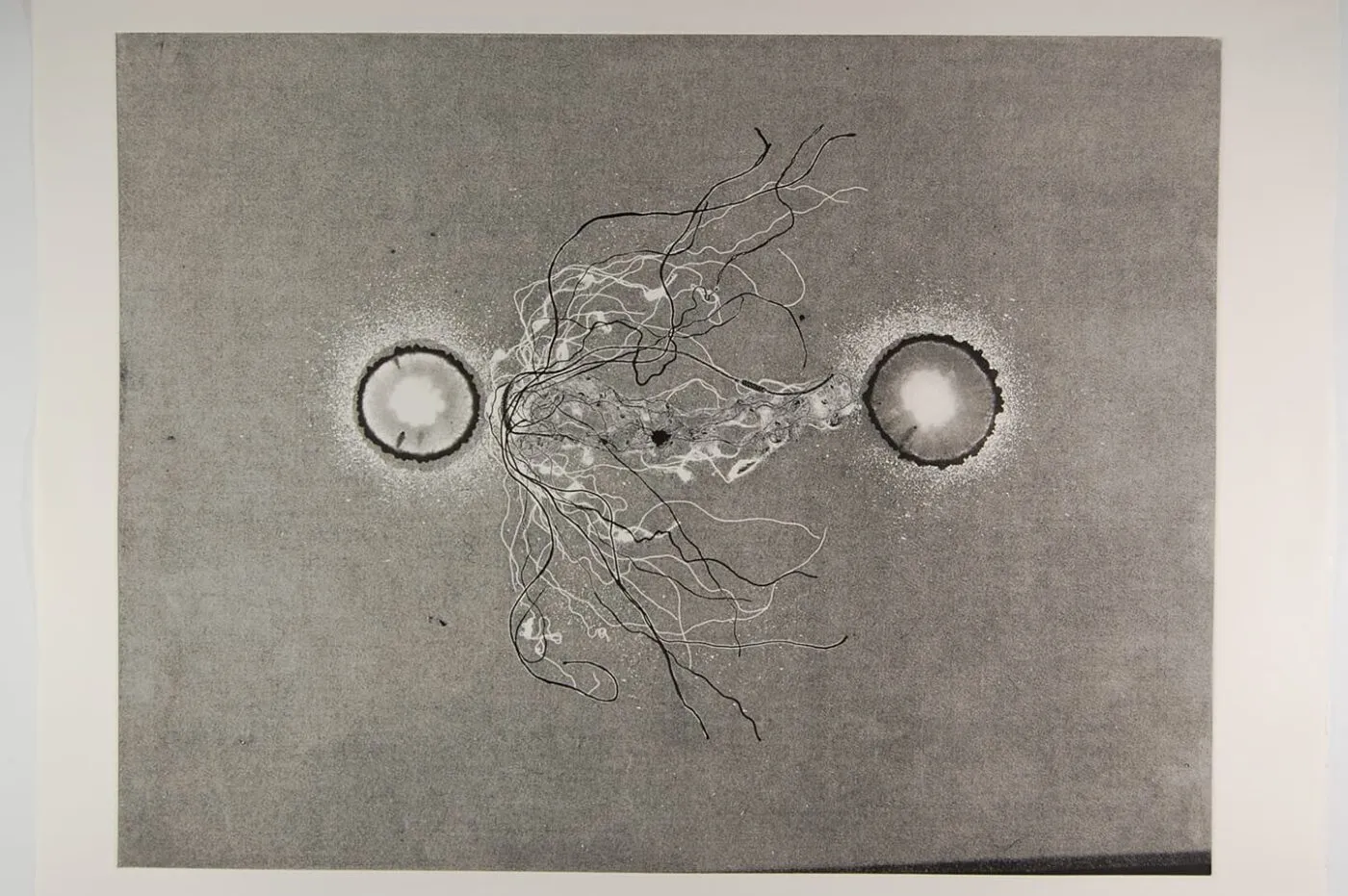 <strong>Out of Body 4.2</strong>, Susan Aldworth, monoprint, 56 x 76 cms, 2009.