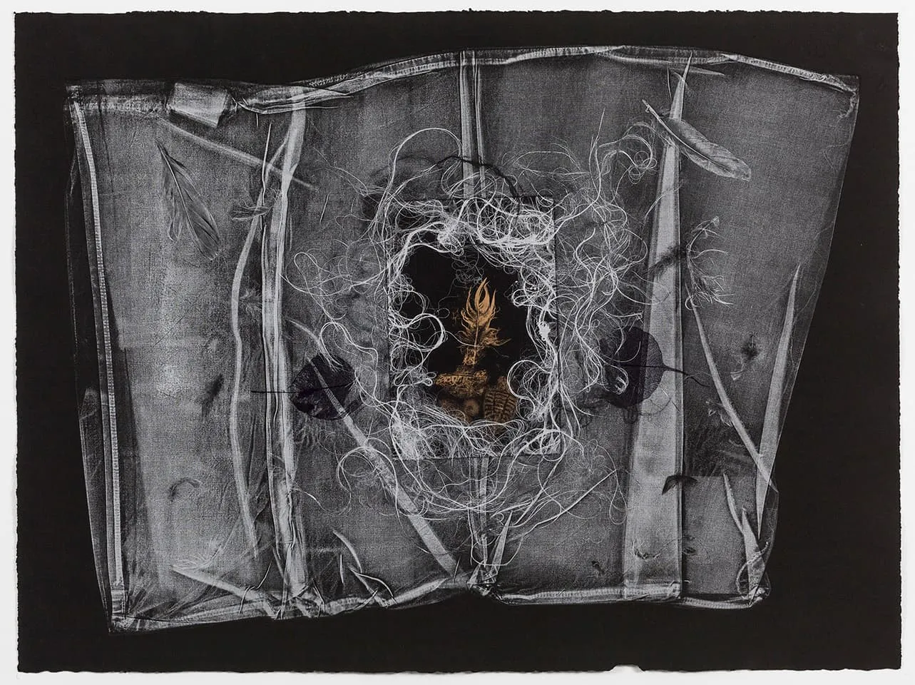 <strong>The Dark Self 11</strong>, Susan Aldworth, monoprint, 56 x 76 cms, 2017. Photograph by Peter Abrahams.