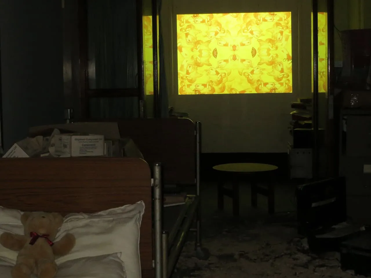<strong>Going Native</strong>, video installation by Susan Aldworth at St Clement’s Hospital, 2013. Photograph by Emma Crouch.