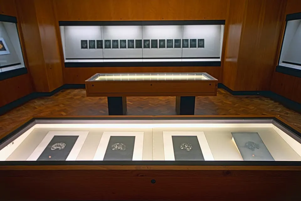 <strong>Realisation</strong>, exhibition in Sheba Gallery, Fitzwilliam Museum, 2017. Image courtesy of The Fitzwilliam Museum, Cambridge.