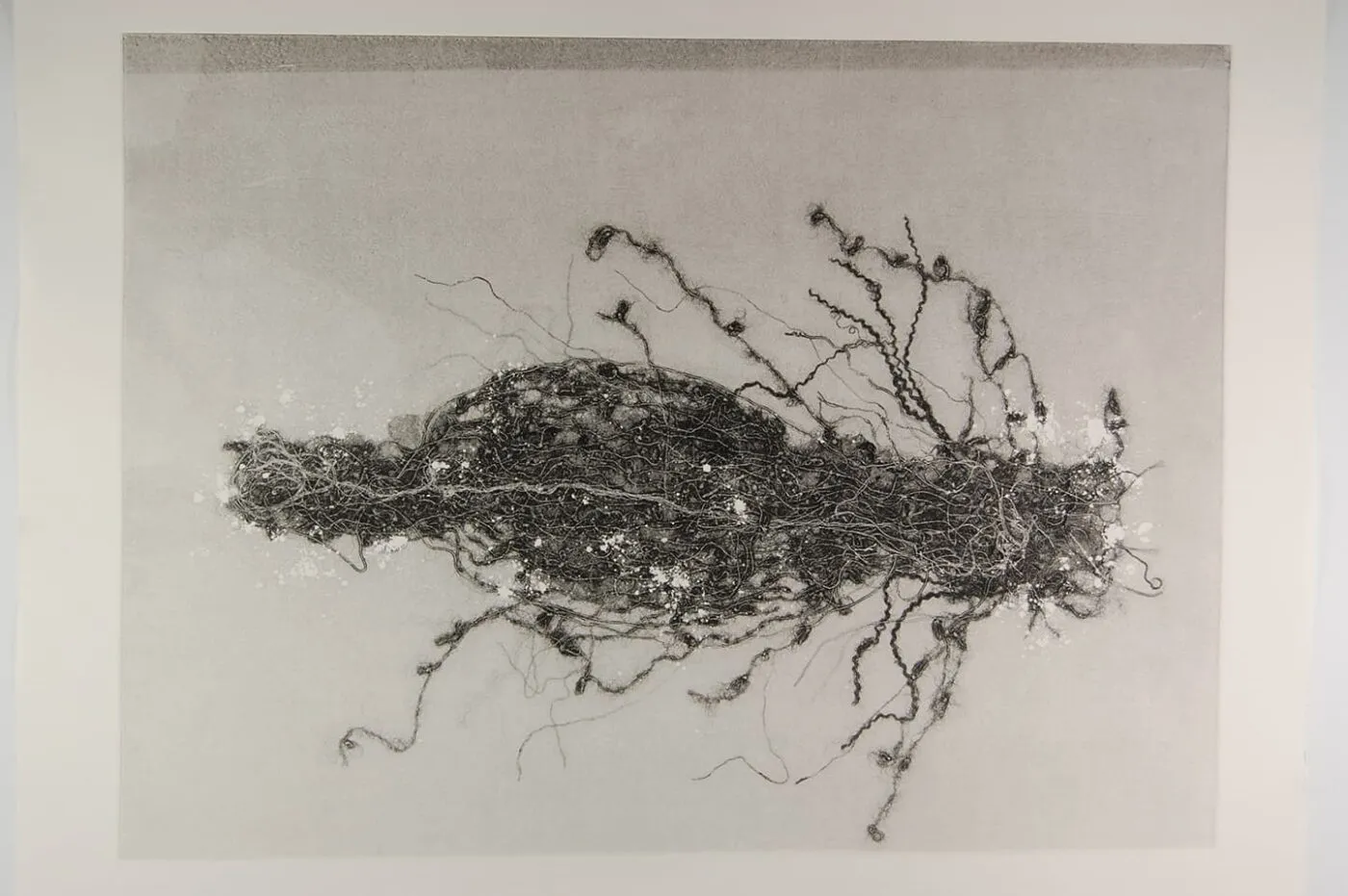 <strong>Out of Body 2.3</strong>, Susan Aldworth, monoprint, 56 x 76 cms, 2009.