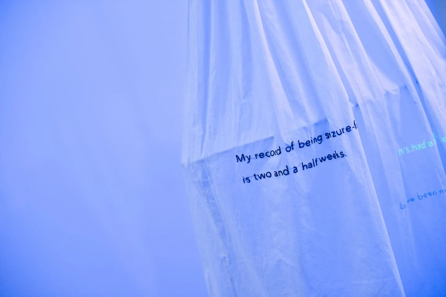 <strong>Out of the Blue</strong>, installation showing close-up of embroidery, Susan Aldworth, 2020. Photograph by Colin Davison at Hatton Gallery.