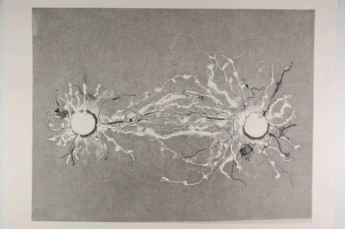 <strong>Out of Body 3.2</strong>, Susan Aldworth, monoprint, 56 x 76 cms, 2009.
