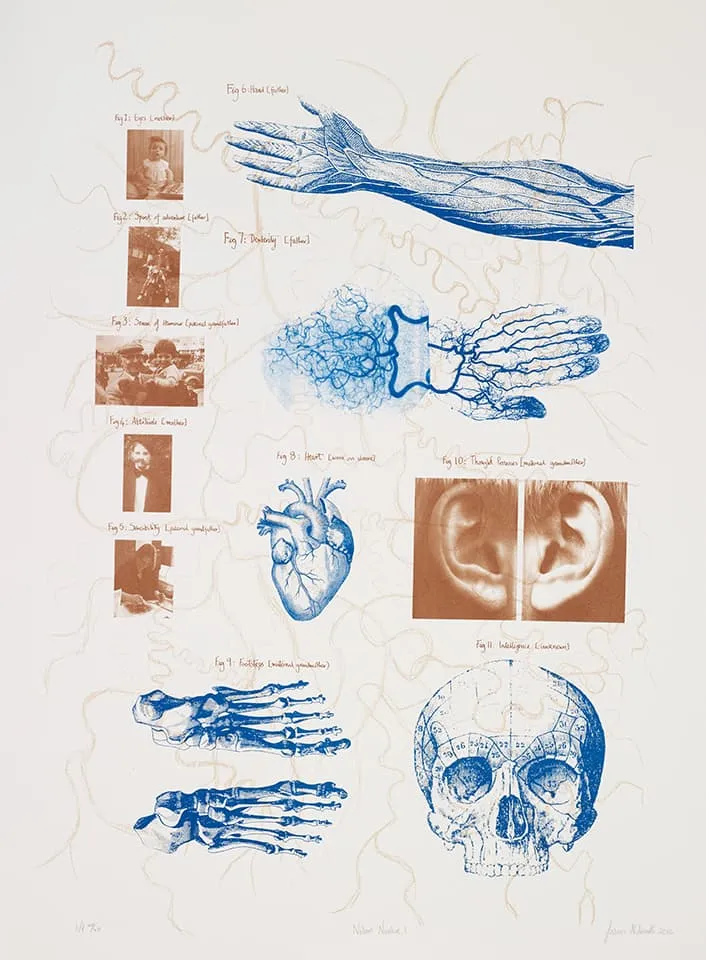 <strong>Nature Nurture 1</strong>, Susan Aldworth, lithograph, 88 x 60 cms, 2012. Photograph&nbsp;by&nbsp;Anna&nbsp;Arca.