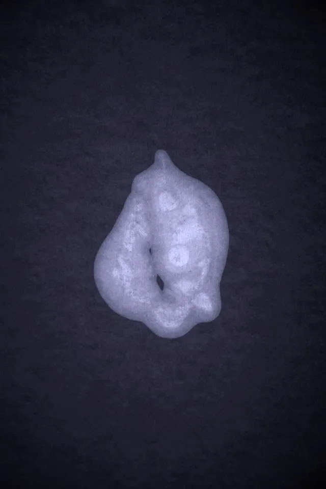 <strong>Passing Thoughts 14</strong>, Susan Aldworth, archival digital print, 35 x 23 cms, 2013.
