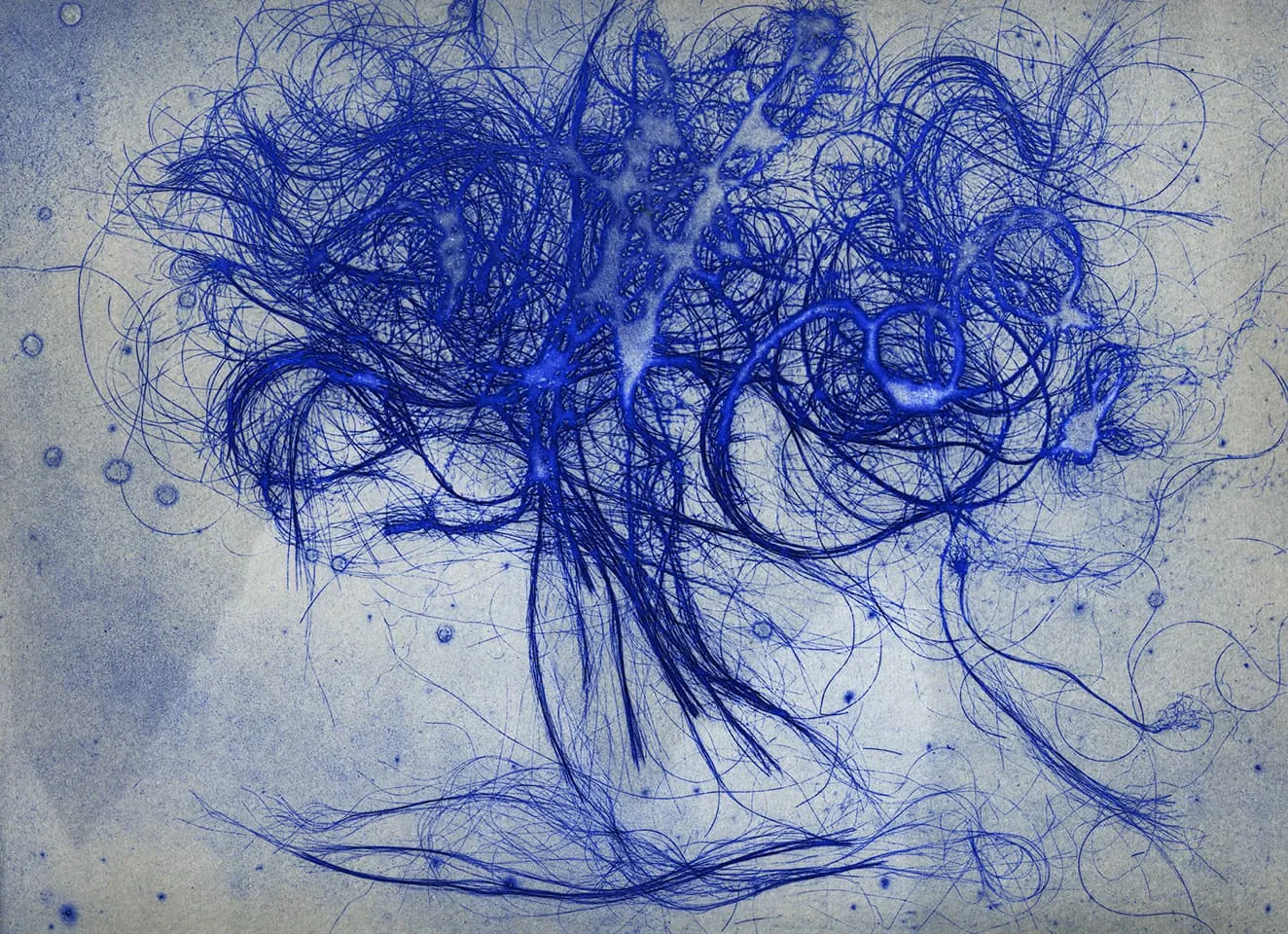 <strong>The Entangled Self 4</strong>, Susan Aldworth, etching, 25 x 31 cms, 2014.