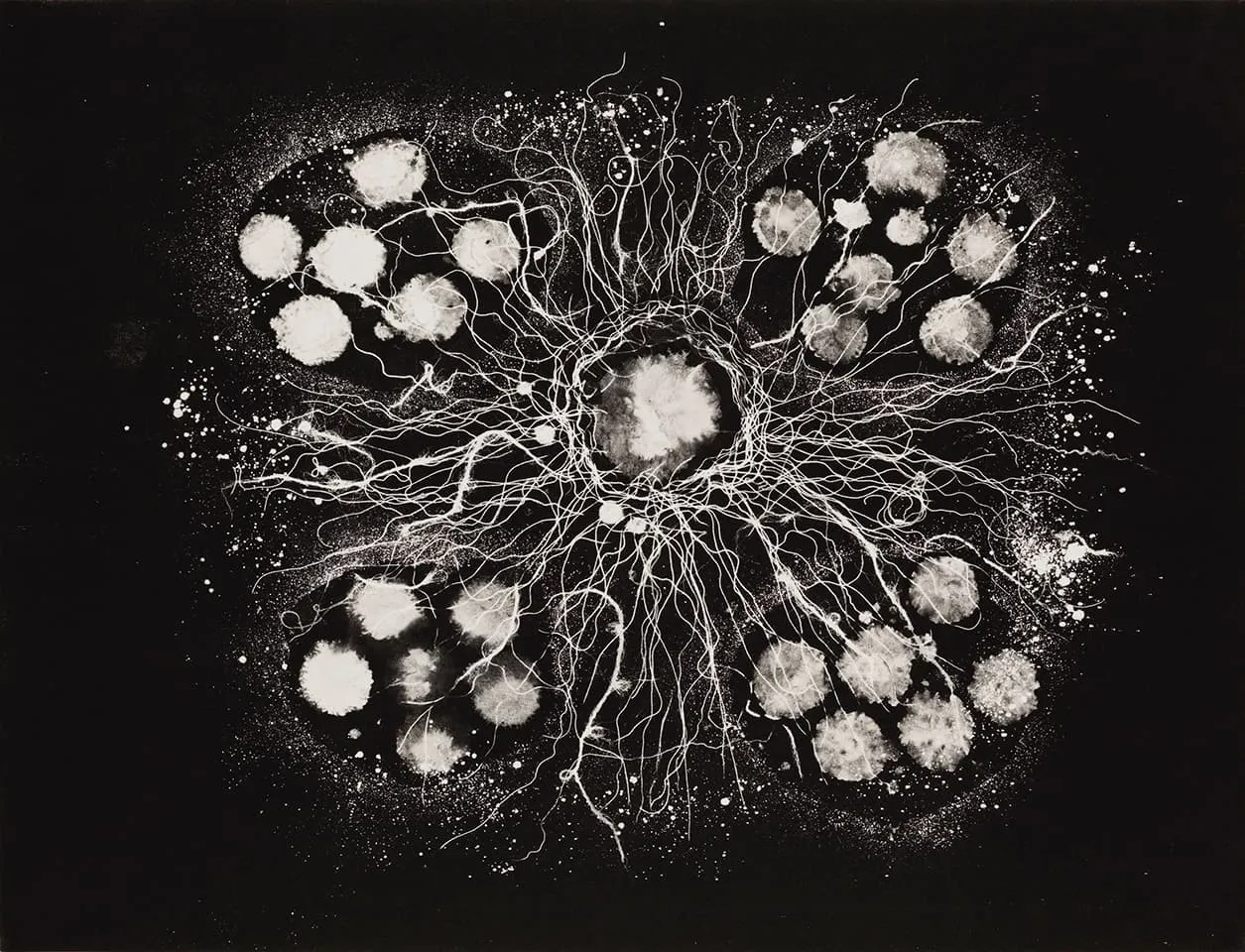 <strong>Heartwork 15</strong>, Susan Aldworth, monoprint, 56 x 76 cms, 2010. Photograph by Peter Abrahams.