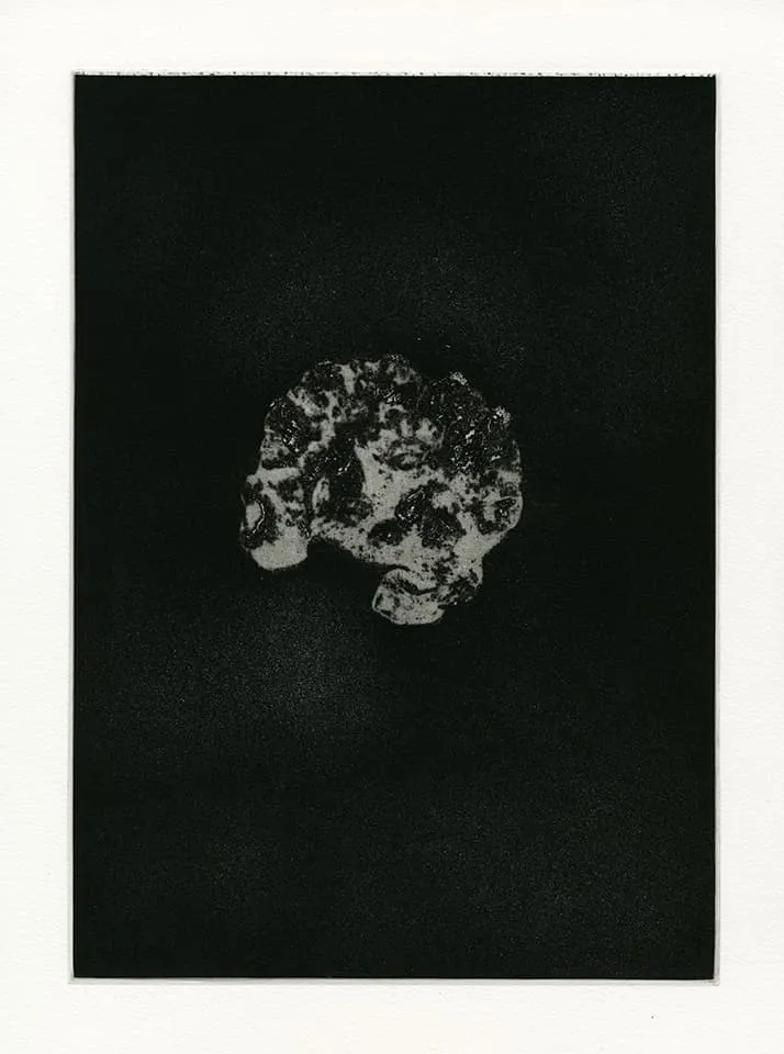 <strong>Transience 7</strong>, Susan Aldworth, etching and aquatint,  35 x 25 cms, 2013.