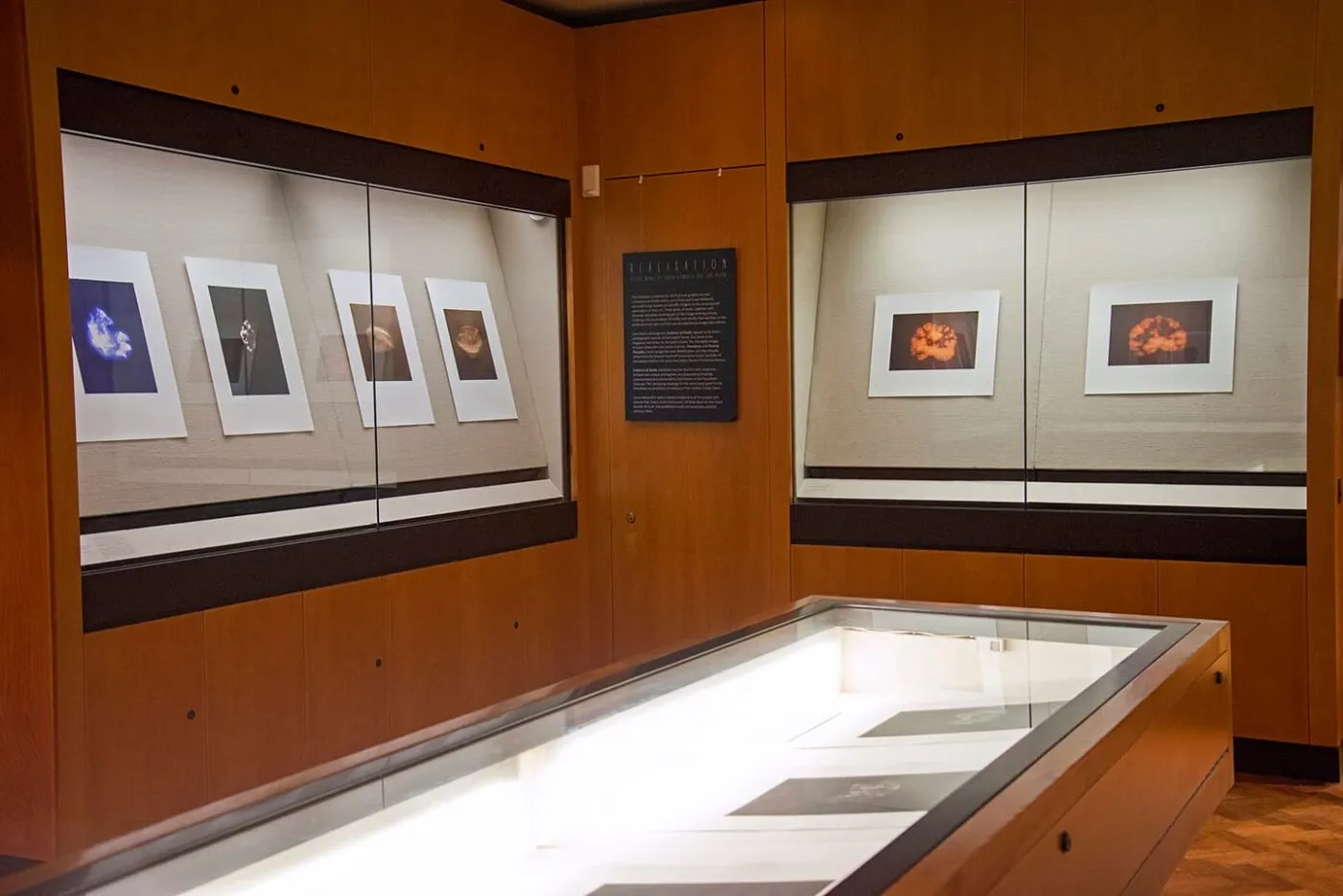 <strong>Realisation</strong>, exhibition in Sheba Gallery, Fitzwilliam Museum, 2017. Image courtesy of The Fitzwilliam Museum, Cambridge.
