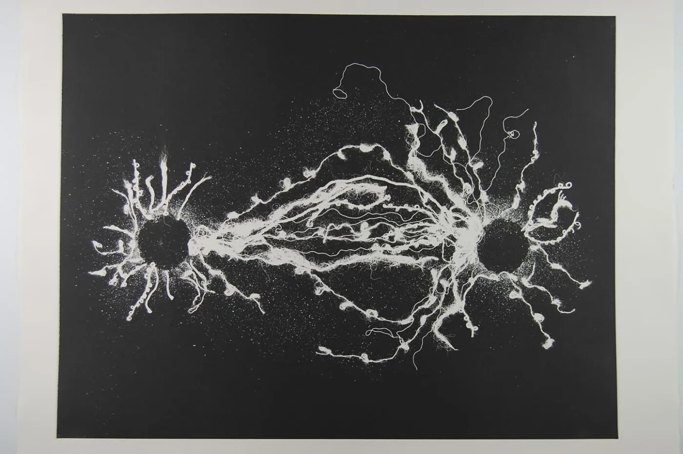 <strong>Out of Body 3.1</strong>, Susan Aldworth, monoprint, 56 x 76 cms, 2009.