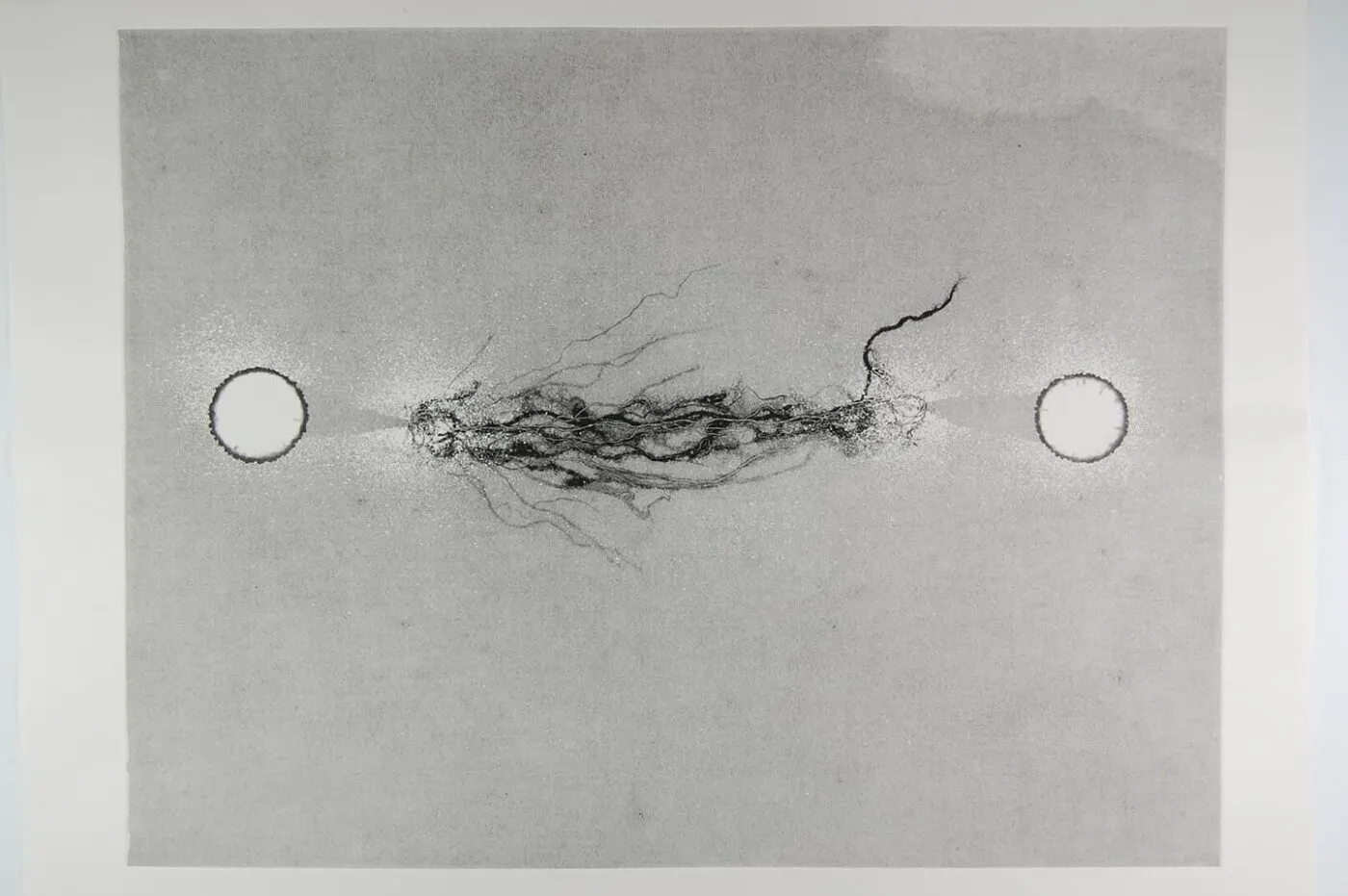 <strong>Out of Body 1.3</strong>, Susan Aldworth, monoprint, 56 x 76 cms, 2009.