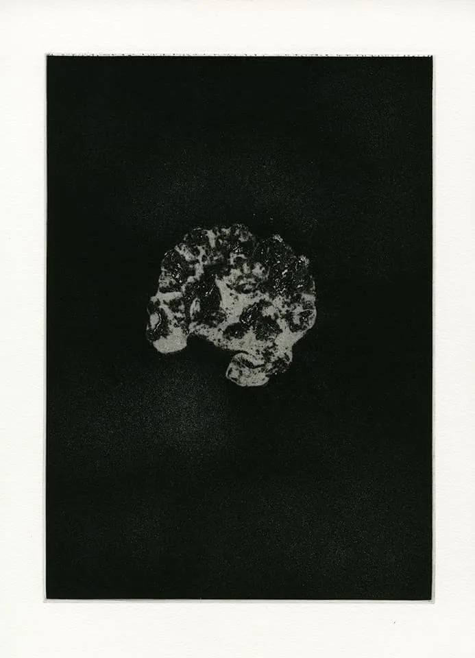 <strong>Transience 7</strong>, Susan Aldworth, etching and aquatint, 35 x 25 cms, 2013.