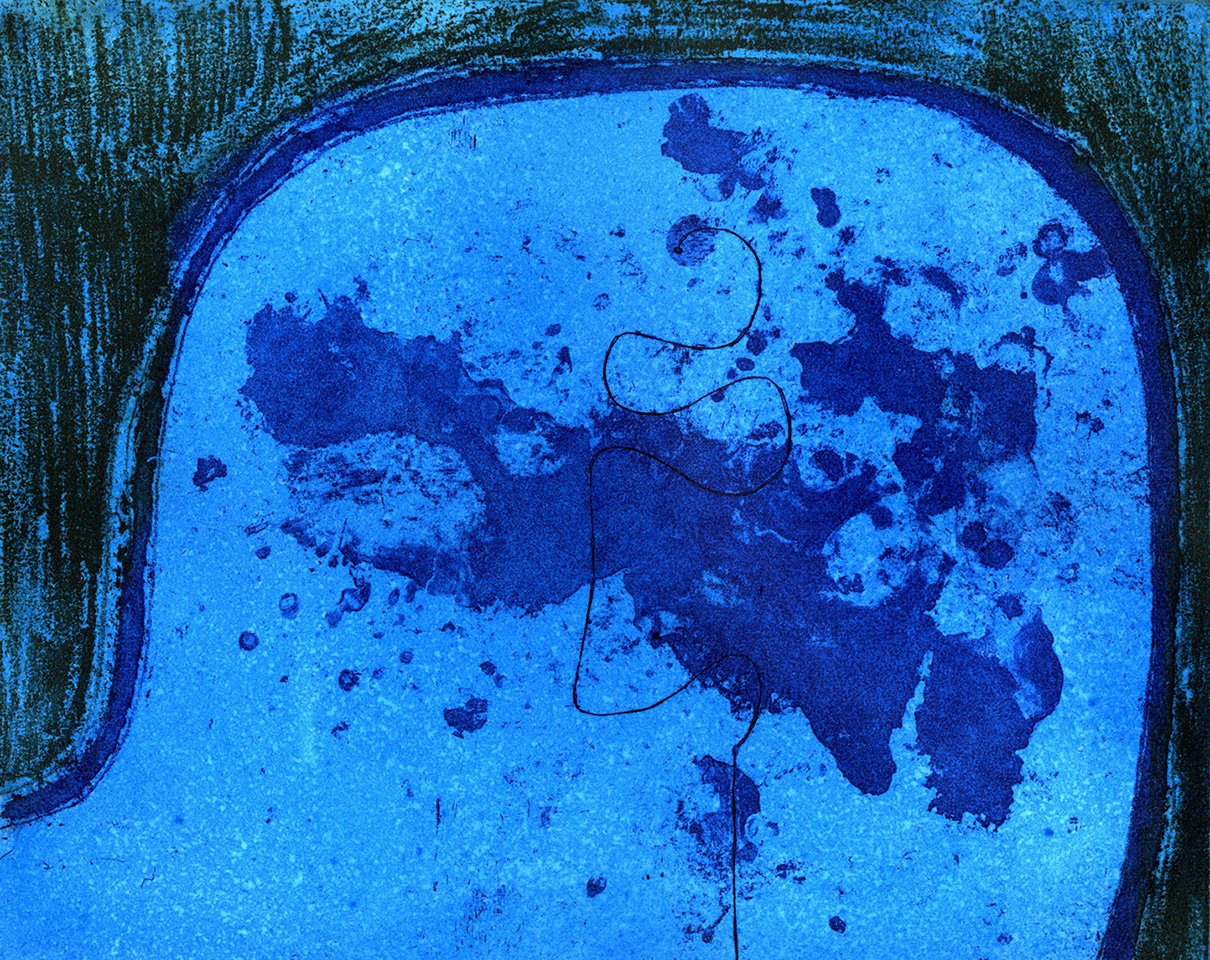 Cerebral Blue I (2005), etching and aquatint, 20 x 25 cm