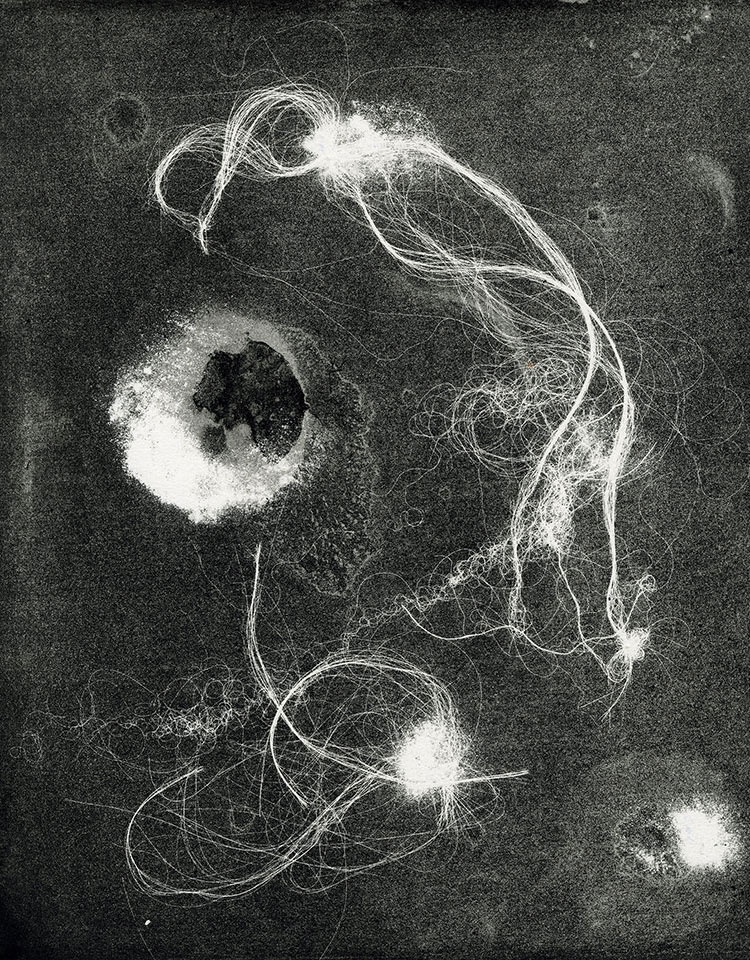 Modern Alchemy 10b, Susan Aldworth, etching, aquatint and monotype, 31 x 24.5 cms, 2023