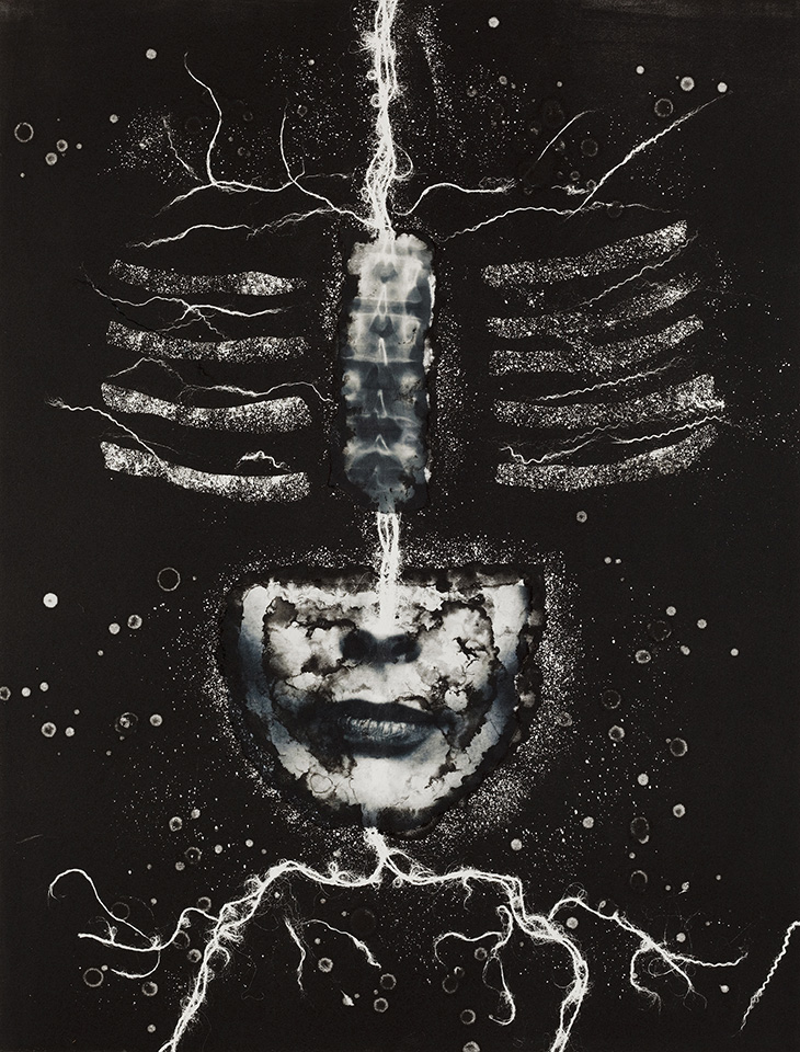 The Portrait Anatomised – Elisabeth (2012), 9 monoprints with chine collé, 2.5 x 2 m